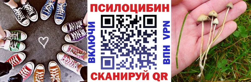 Псилоцибиновые грибы Cubensis  Купить закладки  Янаул 
